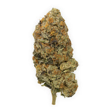 Load image into Gallery viewer, Slurricane-01