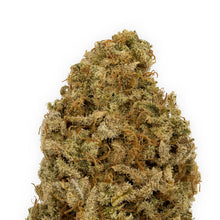 Load image into Gallery viewer, Starrberry-02