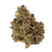 Load image into Gallery viewer, Terple-01