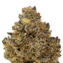 Load image into Gallery viewer, Terple-02