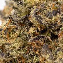 Load image into Gallery viewer, Terple-03