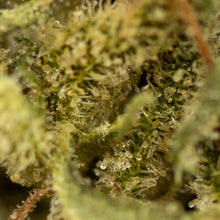 Load image into Gallery viewer, Umpqua CBD-03