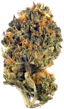 Load image into Gallery viewer, Grease Monkey-01