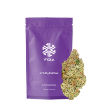 Load image into Gallery viewer, Viola Al '96-01