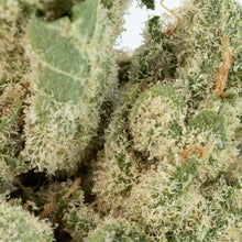 Load image into Gallery viewer, White Runtz-03