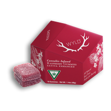 Load image into Gallery viewer, Real Fruit Raspberry Gummies-01