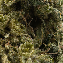 Load image into Gallery viewer, Zweet Cherry OG Limited-03