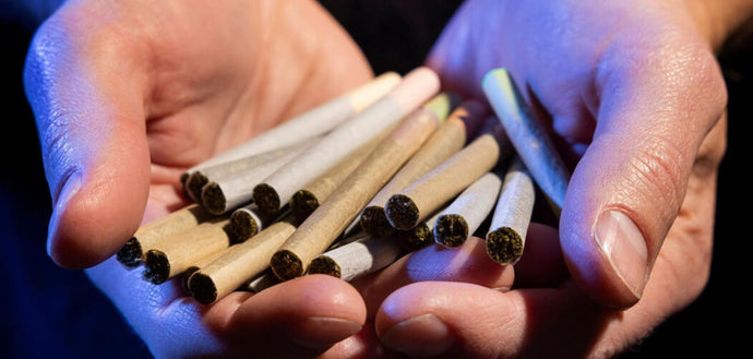 The Millennial Takeover: How Pre-Rolls Became the Hottest Cannabis Trend