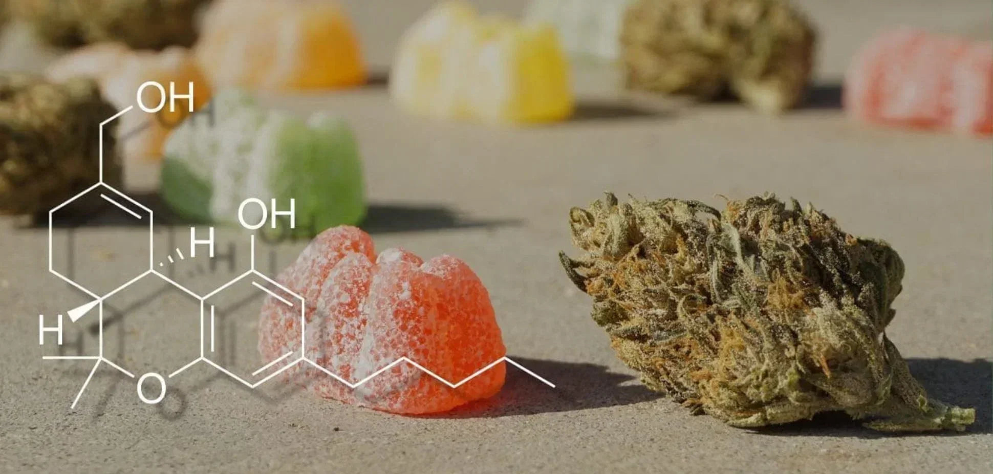 11-Hydroxy-THC Explained: Why Edibles Hit Harder