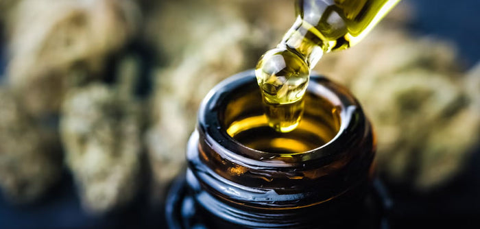 Cannabis Oil 101: How to Dose, Use, and Choose the Right Oil
