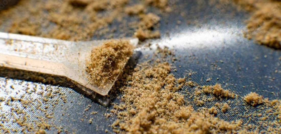 Kief: The Fine Art of Cannabis Trichomes