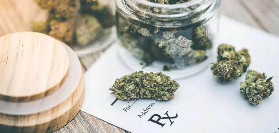 Medical vs. Recreational Cannabis in Canada: Which Is Right for You?