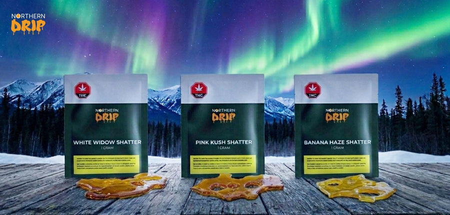 Potent, Terpy, and Ready to Rip: Meet Northern Drip