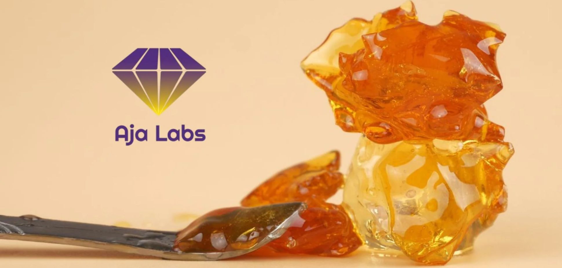 Small-Batch, Big Impact: Inside Aja Labs