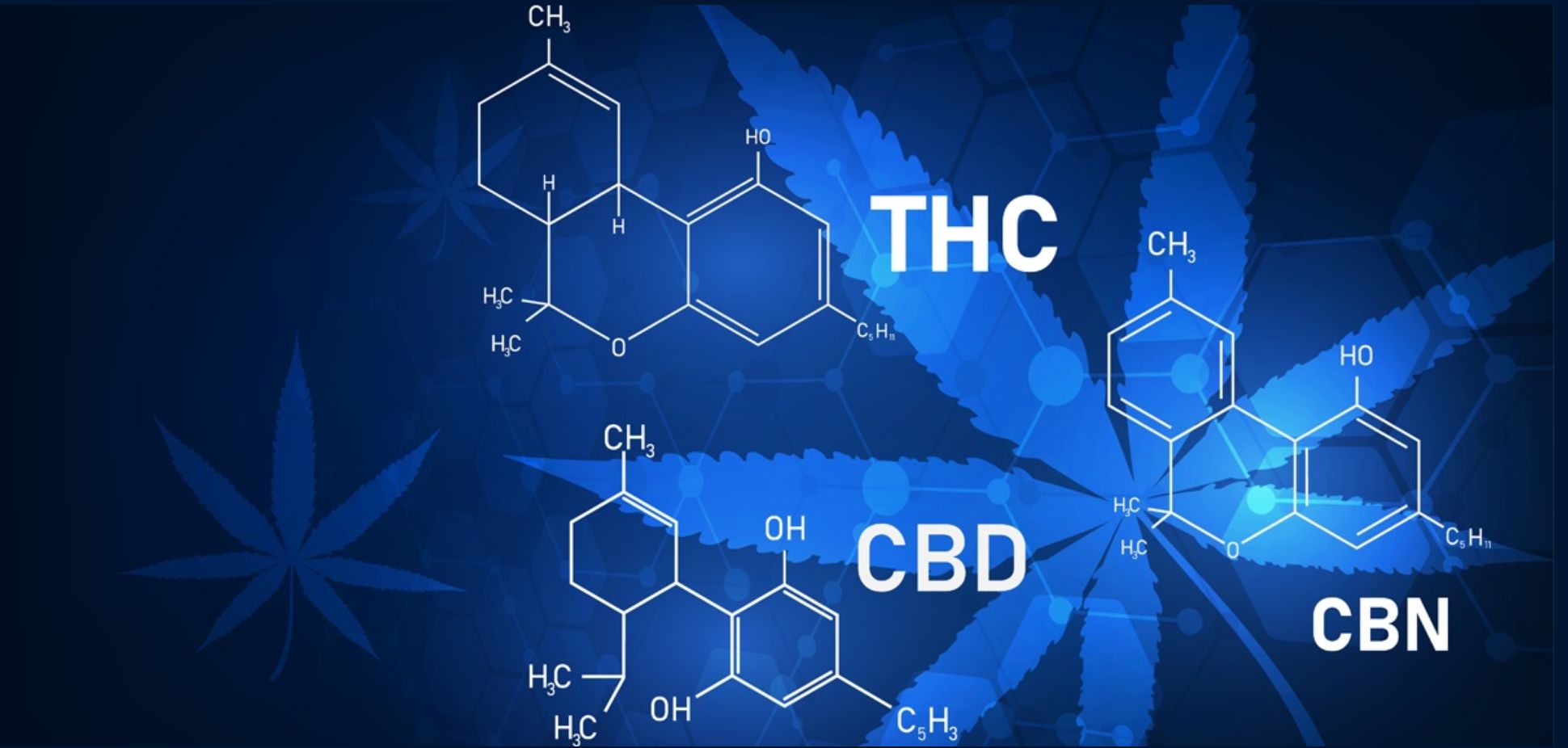 Cannabis Wellness 2.0: Understanding Minor Cannabinoids