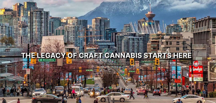 Why We Cut 300 Products (and Why You’ll Thank Us for It)