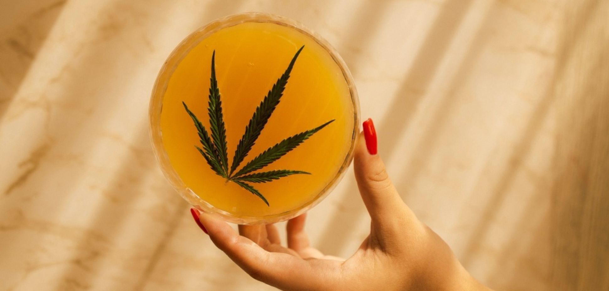 New Year, New Buzz: Inside the California Sober Lifestyle