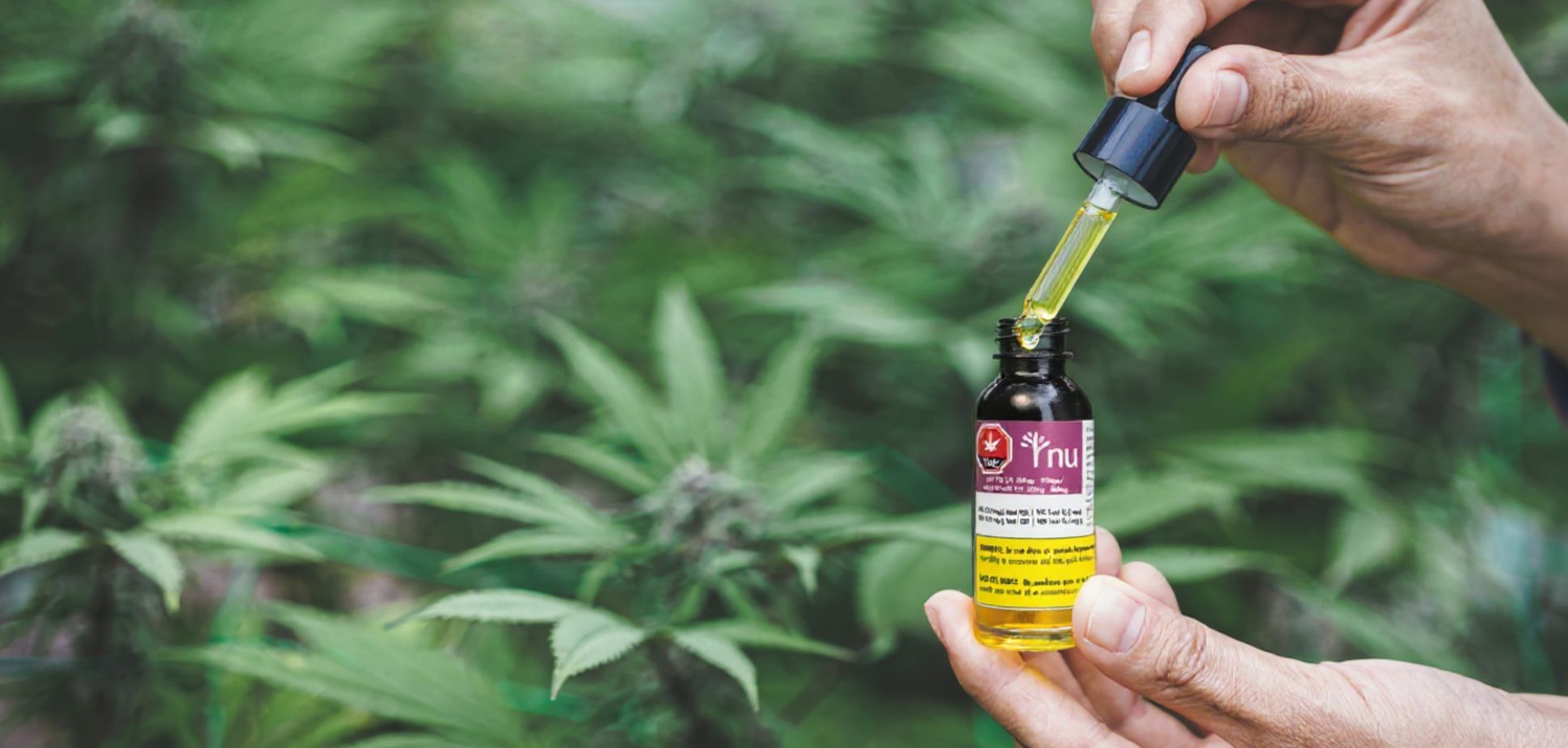 The Goldilocks Zone of Cannabis: How to Find the Dose That’s “Just Right”