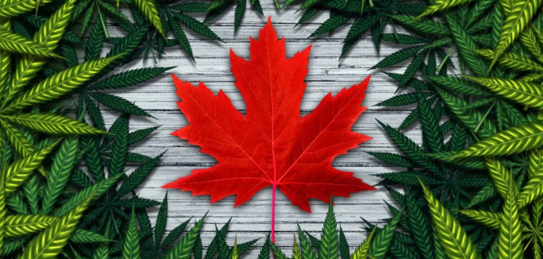 Legalization Turns Seven: The Highs, the Lows, and the Lessons Learned