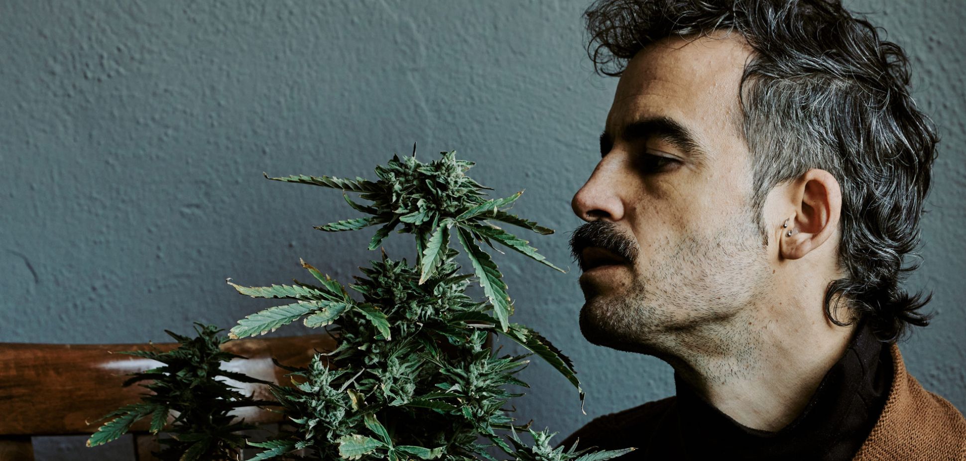 The Nose Knows: Why Aroma Is Replacing THC as Cannabis King