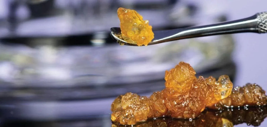 Concentrates Made Simple: A Guide to Every Major Type
