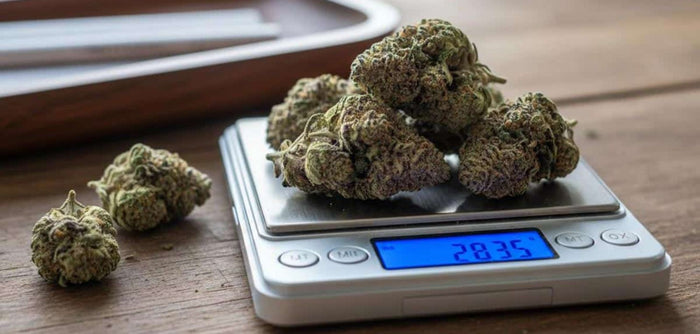 Cannabis Overdose: How Much Is Too Much?