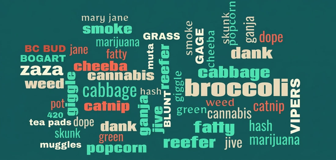 From Vipers to Zaza: A Century of Cannabis Slang