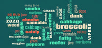From Vipers to Zaza: A Century of Cannabis Slang