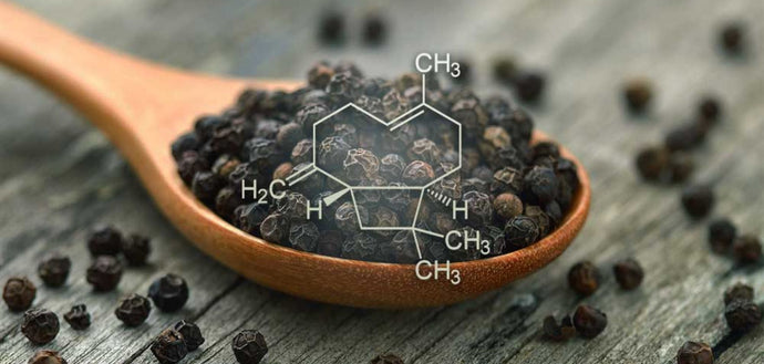 Caryophyllene: Nature’s Answer to Inflammation and Pain Relief