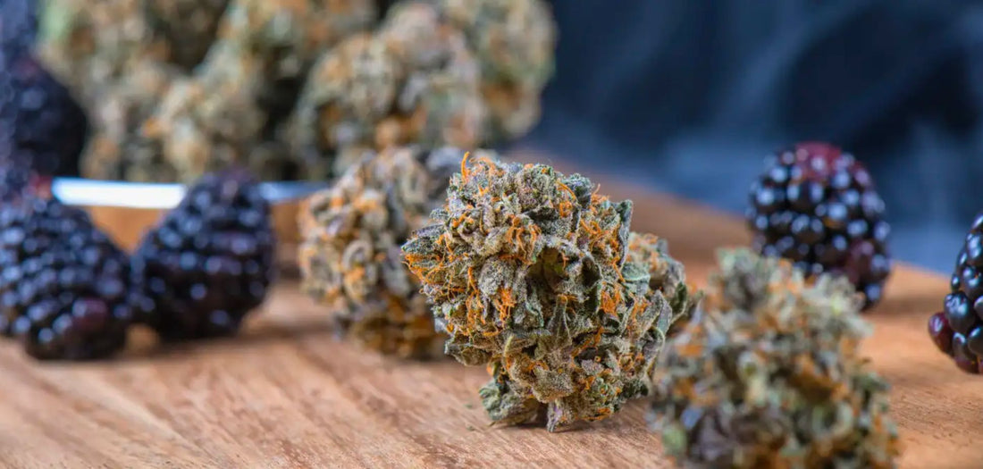 The Unsung Heroes of Cannabis: A Deep Dive into Flavonoids
