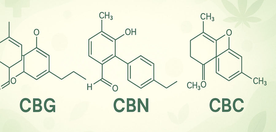 Minor Cannabinoids, Major Impact: The Next Frontier in Cannabis Medicine