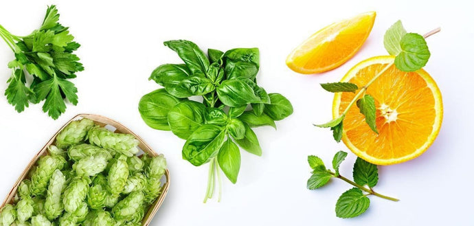 Meet Ocimene: The Sweet, Energizing Terpene You Didn’t Know You Loved