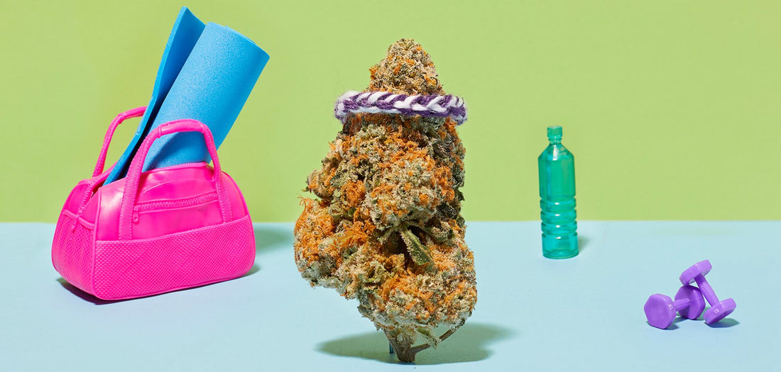 The Art of Pairing: Crafting the Perfect Cannabis Experience