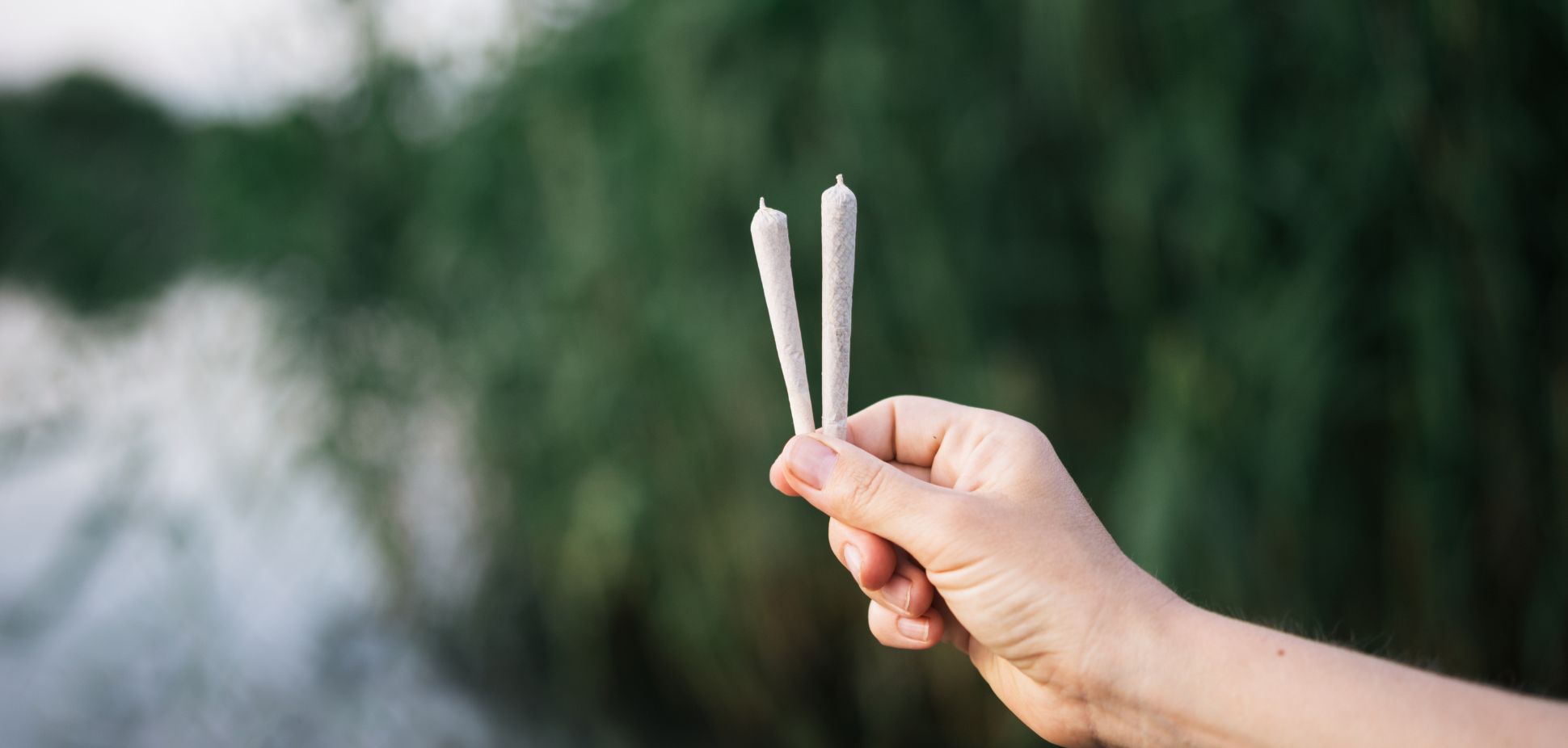 Infused Pre-Rolls 101: A Beginner's Guide to a Next-Level  Experience