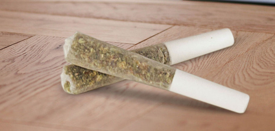 Dogwalker Pre-Rolls: A Cannabis Trend Inspired by Dog Walks