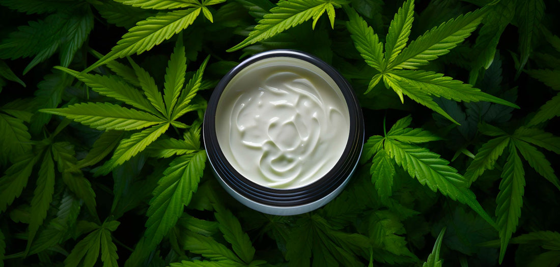 Cannabis Topicals Decoded: A Journey into Natural Healing