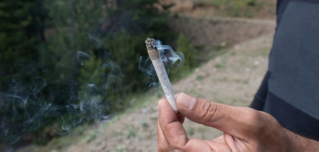 Dispelling the Myth: The Truth Behind White Ash in Cannabis