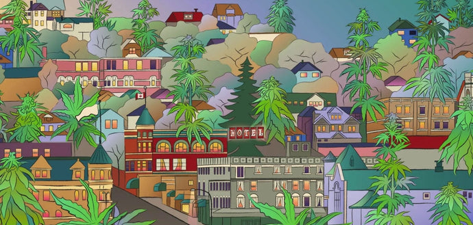 The Woody Nelson Story: An Homage to Nelson's Cannabis Legacy