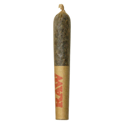 Dab Bods Ghost Train Haze Resin Infused Pre-Roll-03