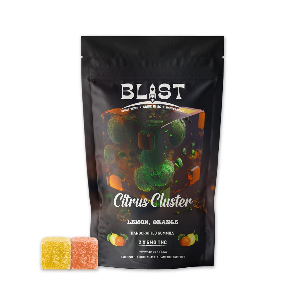 Citrus Cluster (Lemon & Orange) Chews-01