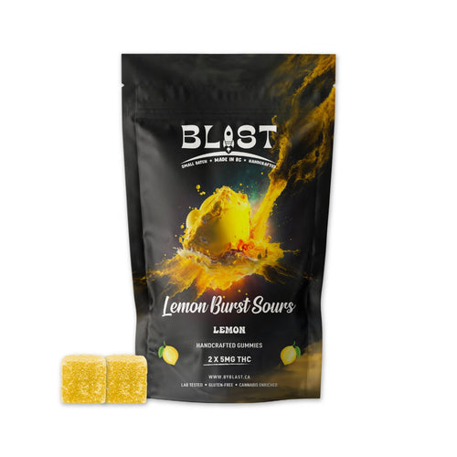 Lemon Burst Sours-01