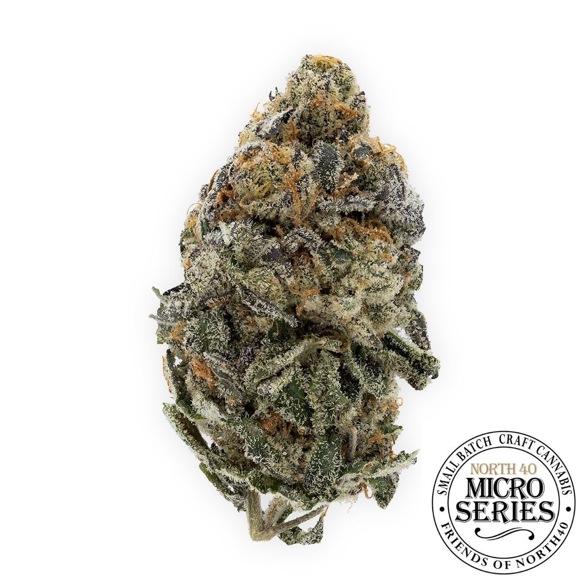 Grape Gasoline-01