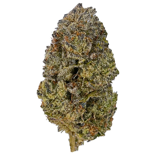 White Truffle-01