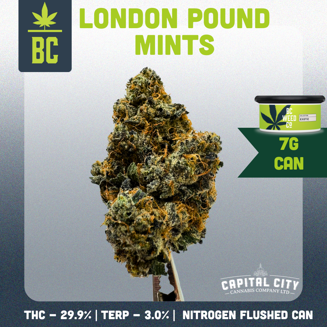 London Mints-02