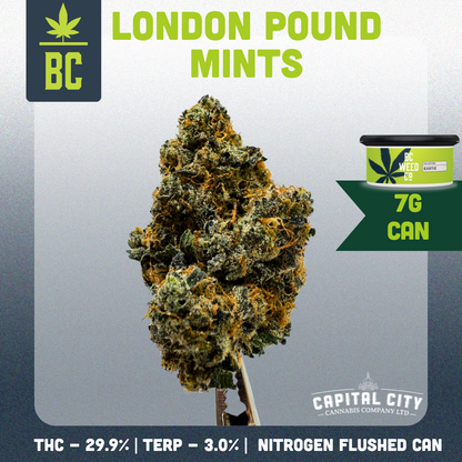 London Mints-02