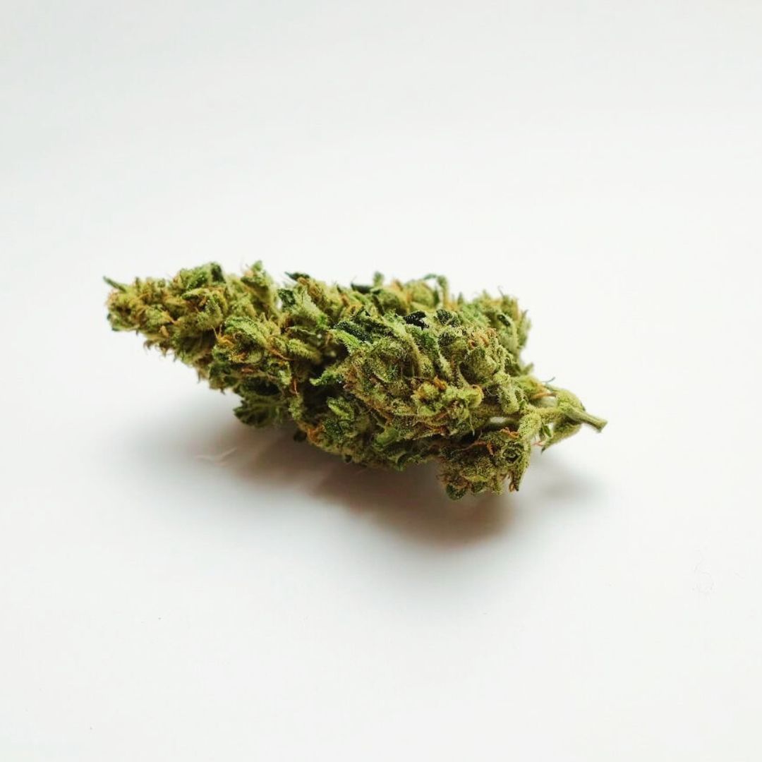 The Ambassador Infused CBD Flower-03