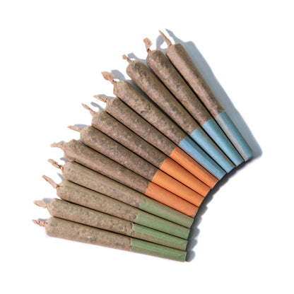 Craft Multipack Pre-roll-02