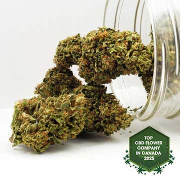 Day Dreamin' Infused CBD Flower-01