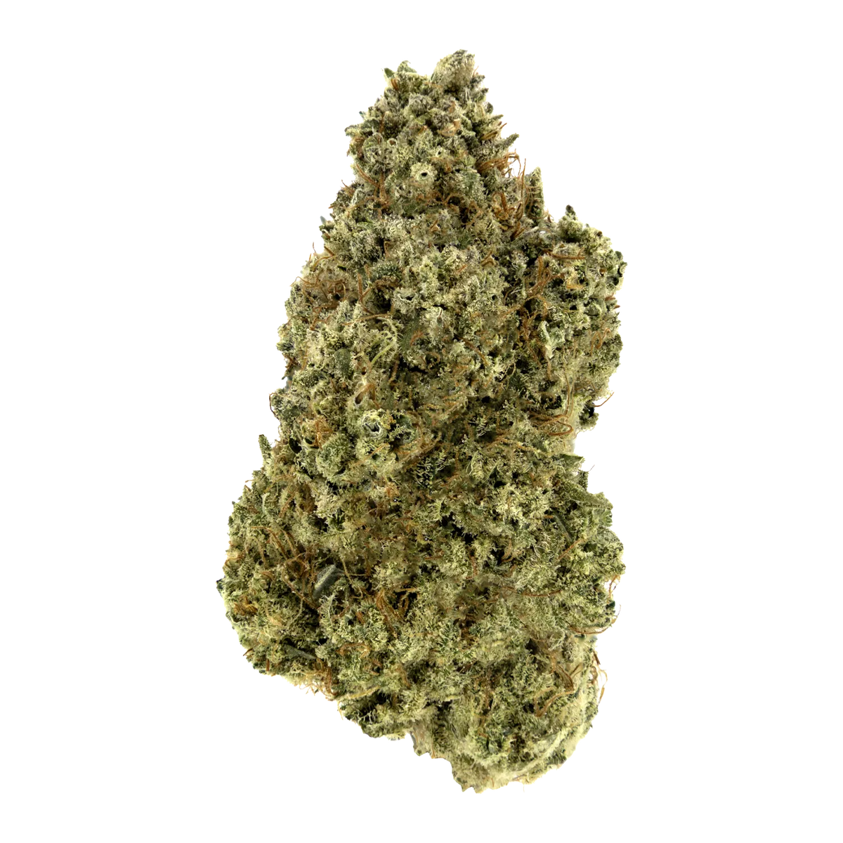 Cactus Milk-01