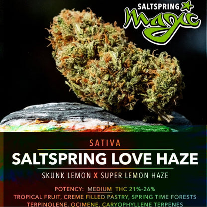 Saltspring Love Haze-04